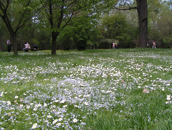 Цветочная поляна ботанического сада