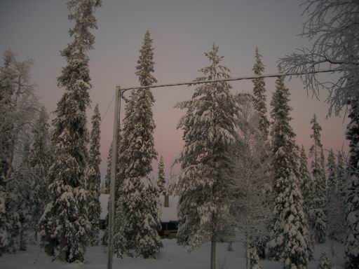 Финская природа в Новый Год